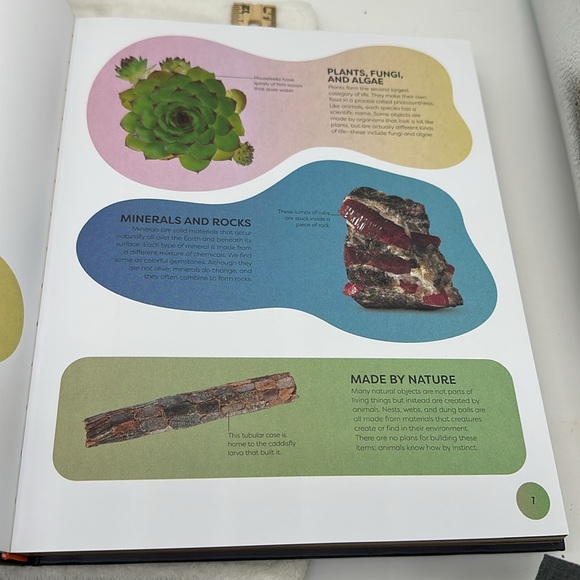 Nature’s Treasures-Tales of more than 100 Extraordinary Objects from Nature - Picture 10 of 14